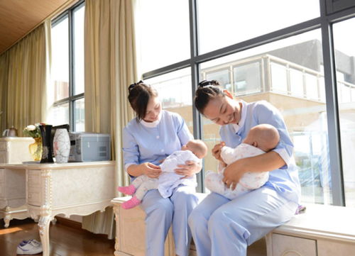 塘廈家政服務公司 塘廈家政服務公司電話 金貝貝家政公司